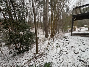 224 Hartshorn Ct, Holly Springs, NC 27540